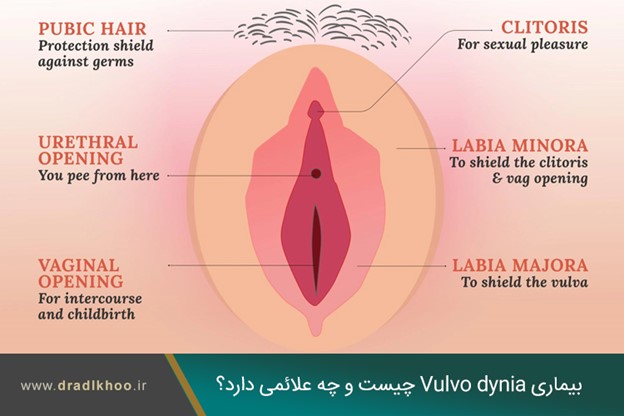 درد واژن چیست و چه علائمی دارد؟